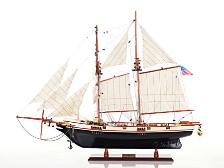 Harvey Baltimore Clipper Painted Tall Ship Large Wood Model Boat  Assembled Online Sale