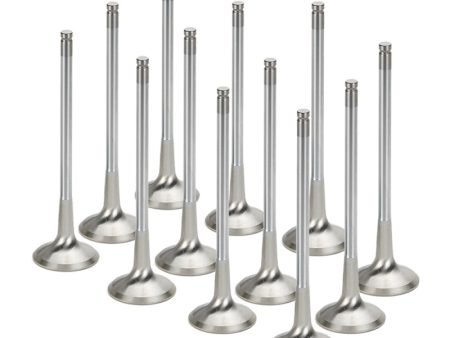 Supertech BMW N54 28mm (STD) Inconel Exhaust Valve - Set of 12 (Use w  locks KPR-6S 7) Online Hot Sale